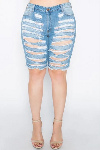 Plus Size High Rise Skinny Jeggings in Blue with White Stripes